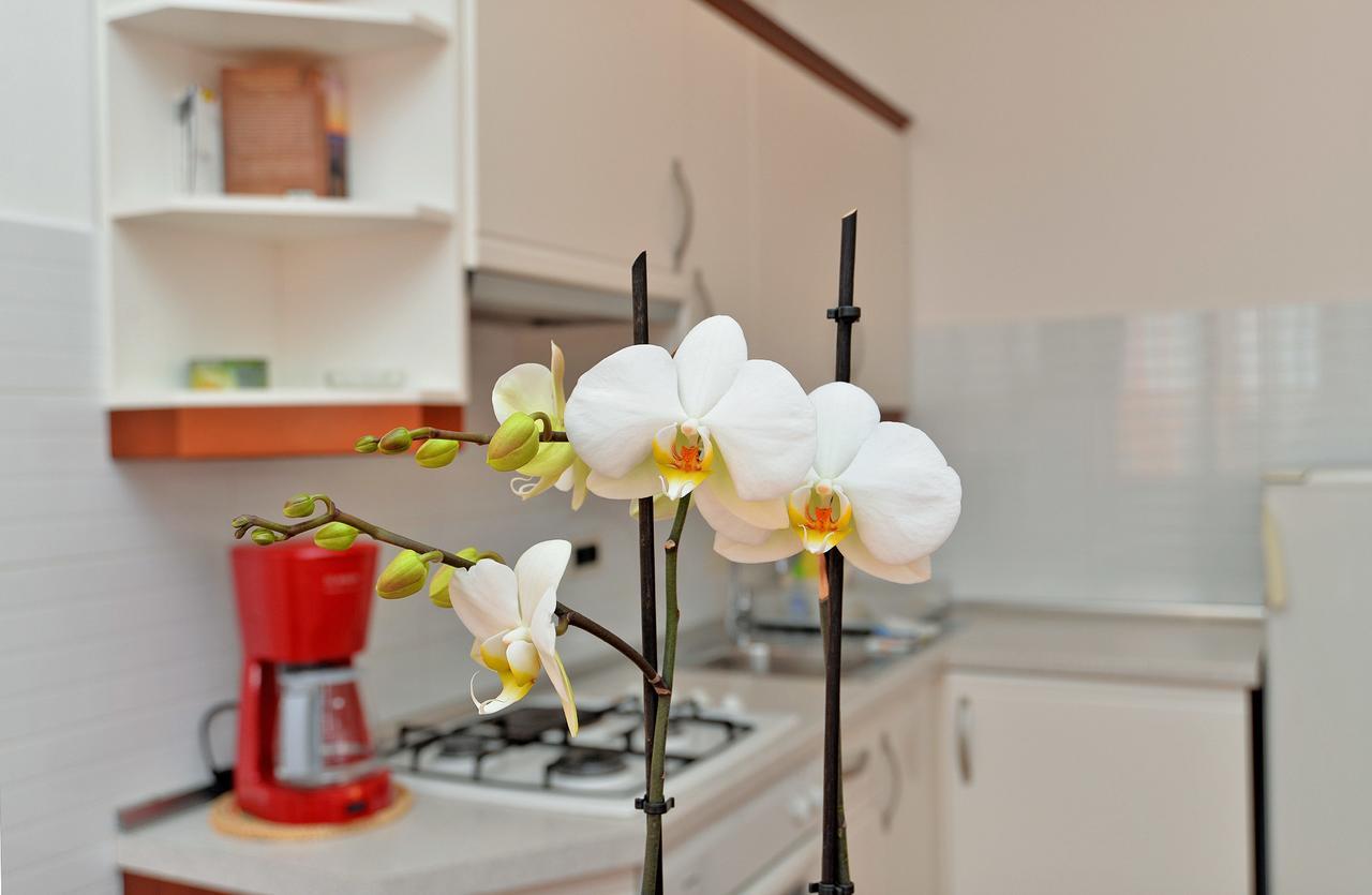 Apartment Ljiljana 1553 Novigrad  Bagian luar foto